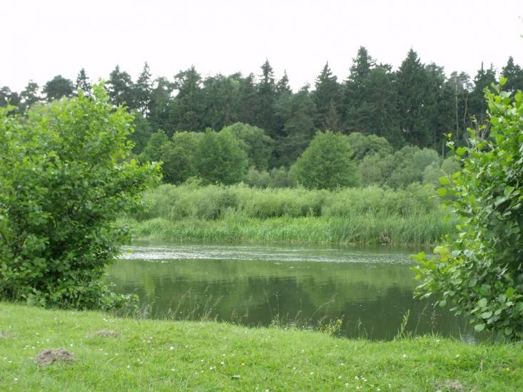 Хотин з panoramio.com - Хотын