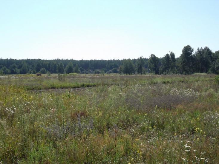 Ялцівка з panoramio.com - Ялцовка
