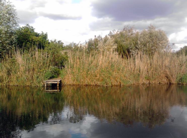 Великий Дальник з panoramio.com - Великий Дальник
