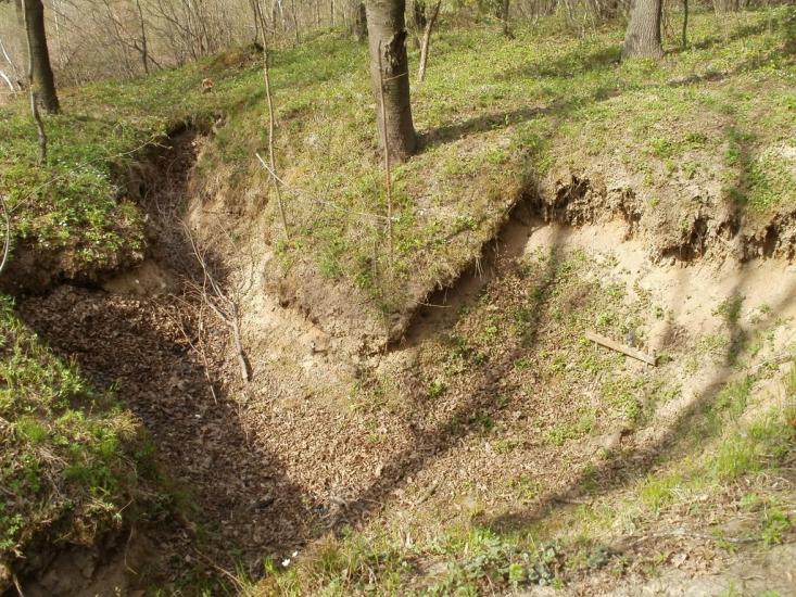 Водники з panoramio.com - Водники