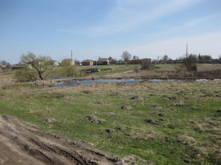 Великі Мости з panoramio.com - Великі Мости