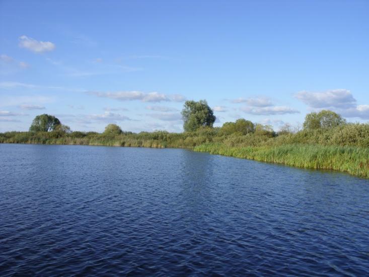 Турійськ з panoramio.com - Турийск