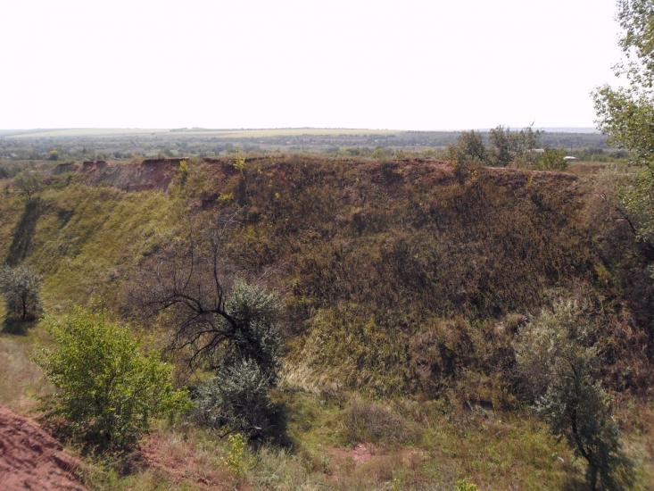 Новгородське з panoramio.com - Новгородське