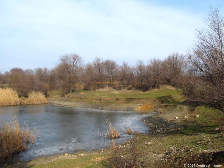 Раєво-Олександрівка з panoramio.com - Раево-Александровка