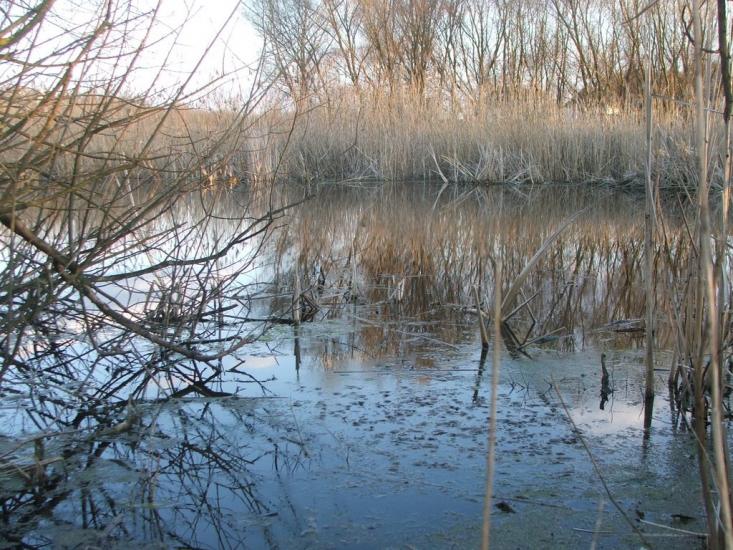 Сираї з panoramio.com - Сираї