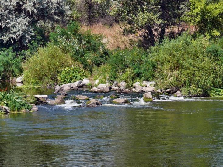 Єлизаветівка з panoramio.com - Елизаветовка