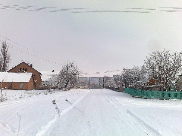 Сорока з panoramio.com - Сорока