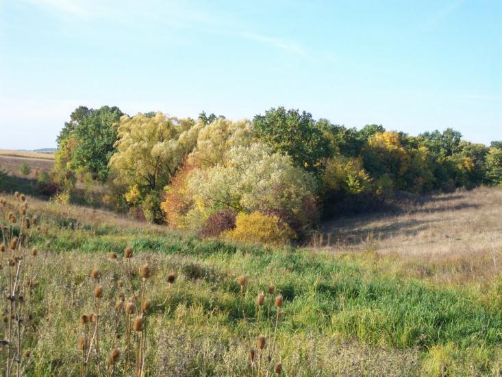 Острівчани з panoramio.com - Островчаны