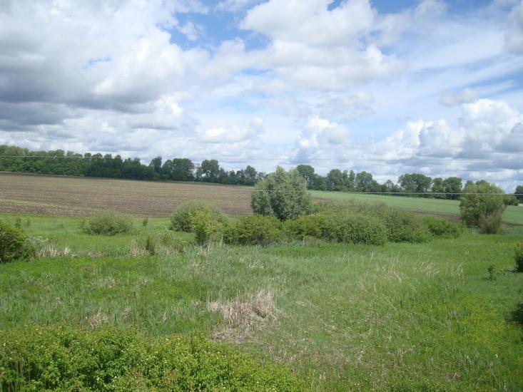 Жищинці з panoramio.com - Жищинці