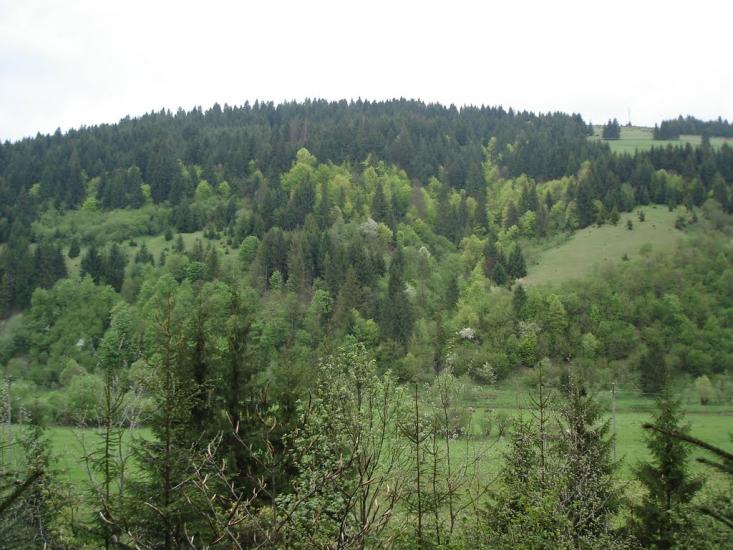Річка з panoramio.com - Річка