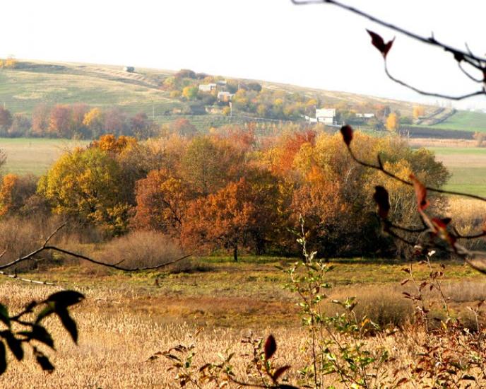 Литвинівка з panoramio.com - Литвиновка