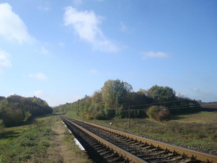 Велика Калинівка з panoramio.com - Велика Калинівка
