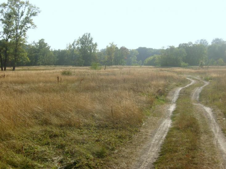 Лукищина з panoramio.com - Lukyschyna