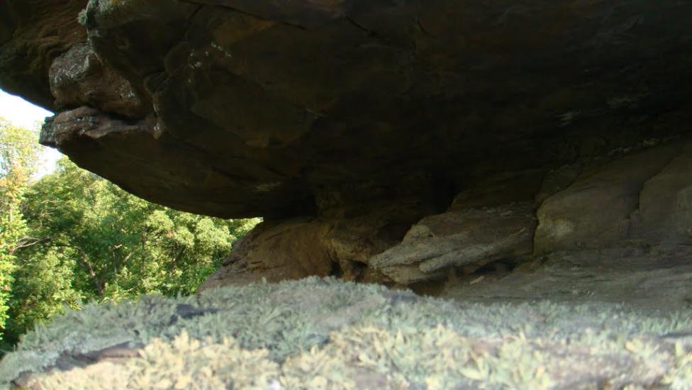 Нижньокринське з panoramio.com - Нижньокринське
