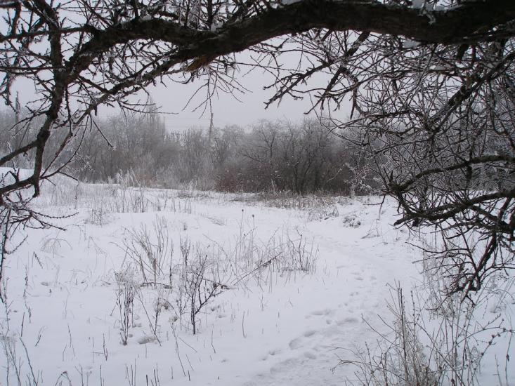 Докучаєвськ з panoramio.com - Dokuchayevsk