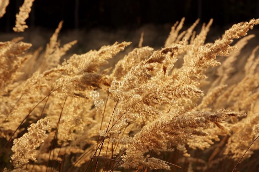 Гавареччина з panoramio.com - Гавареччина