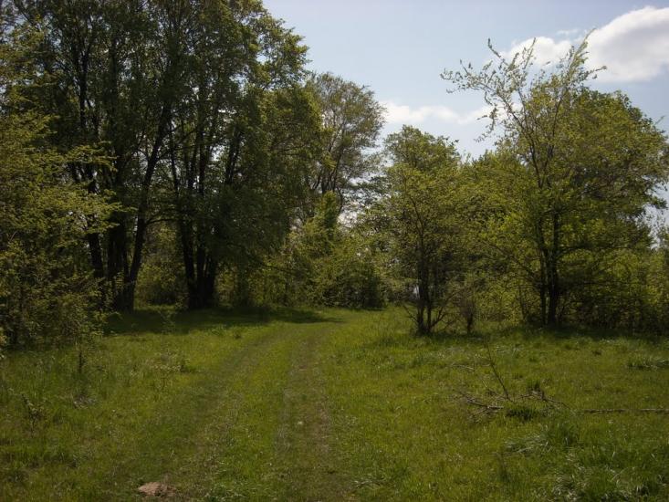 Святилівка з panoramio.com - Святиловка