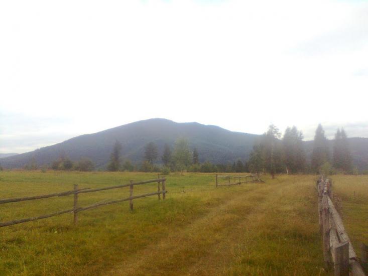 Пшеничники з panoramio.com - Пшеничники