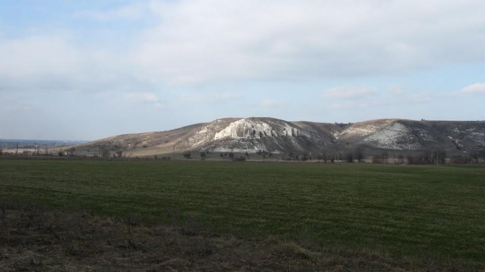 Білокузьминівка з panoramio.com - Білокузьминівка