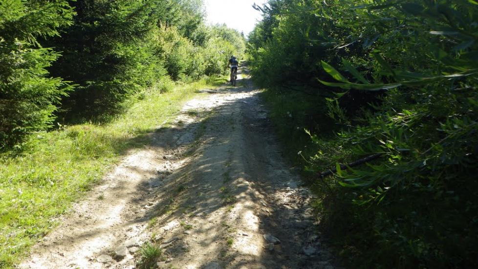 Завийка з panoramio.com - Завийка