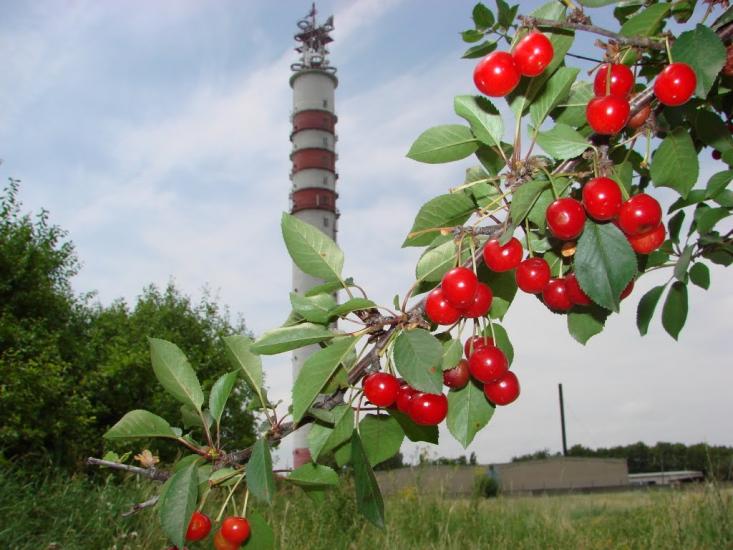 Булахівка з panoramio.com - Булаховка