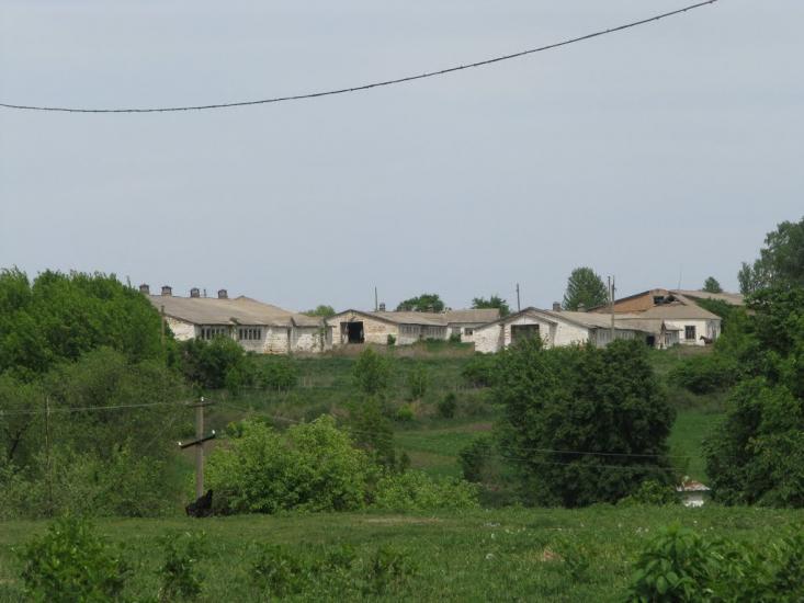Юшківці з panoramio.com - Юшківці