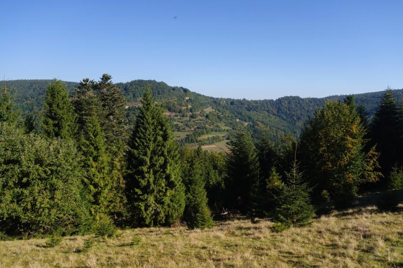 Ужок з panoramio.com - Uzhok