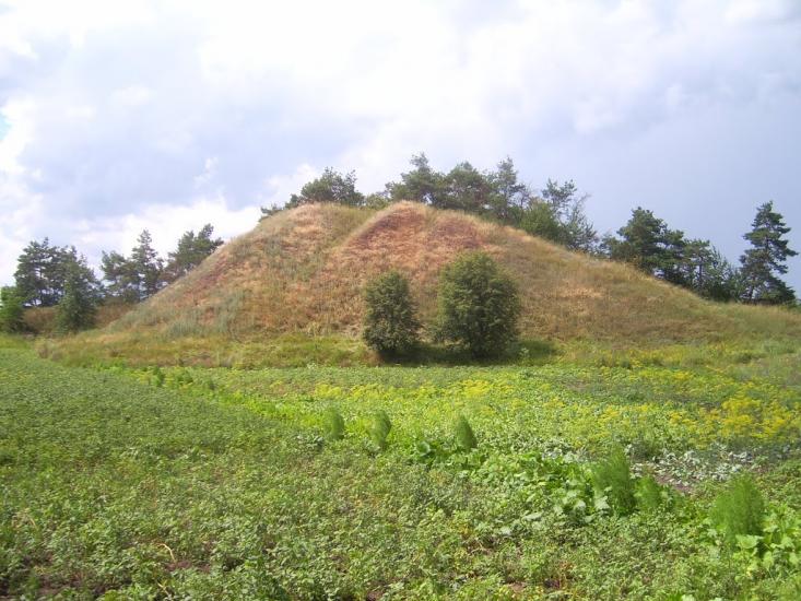 Сорока з panoramio.com - Сорока