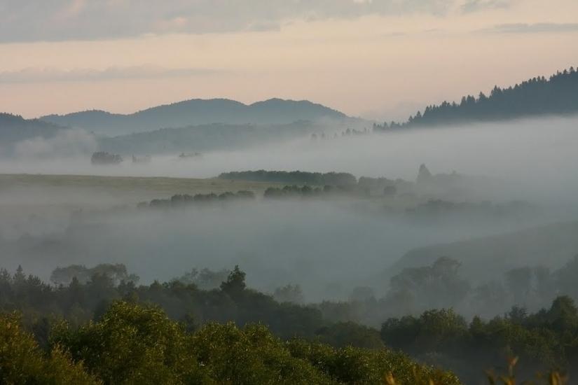 Шандровець з panoramio.com - Шандровец