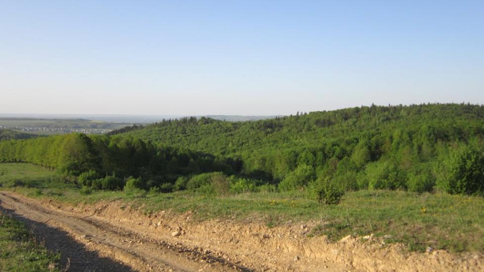 Битків з panoramio.com - Битків