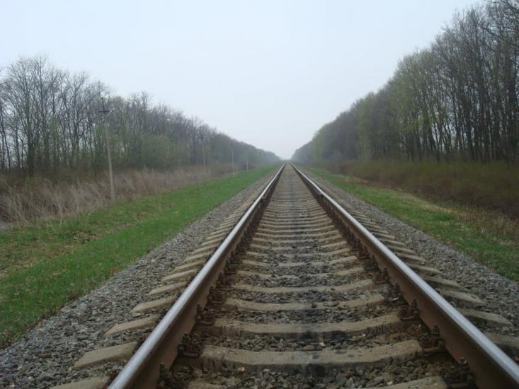Пашківці з panoramio.com - Пашковцы