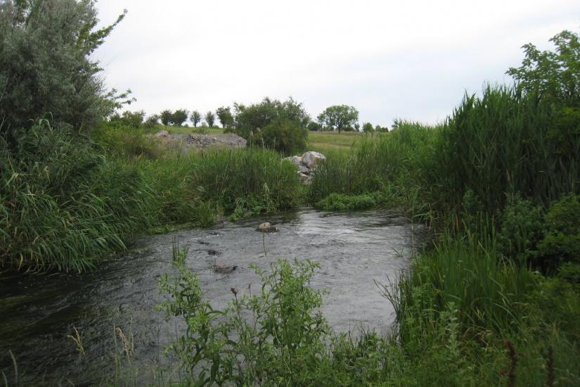 Родникове з panoramio.com - Родниково