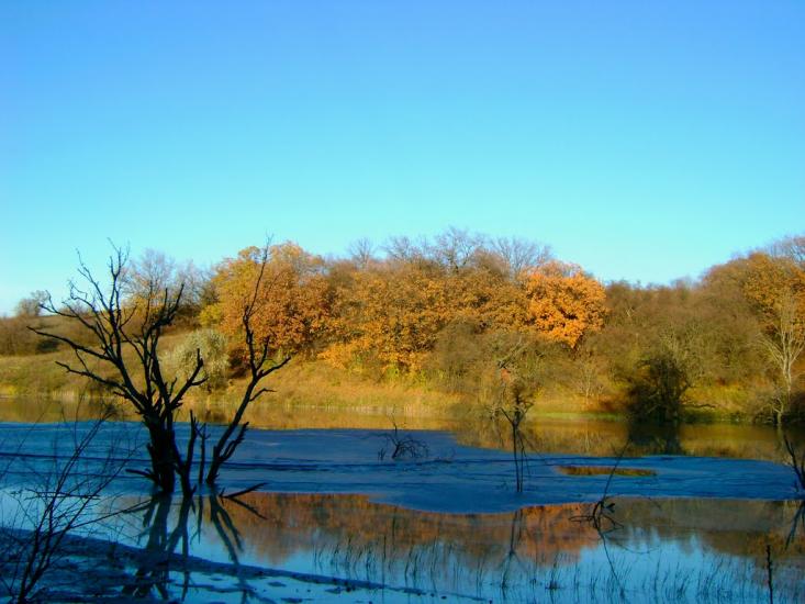 Придніпрянське з panoramio.com - Придніпрянське