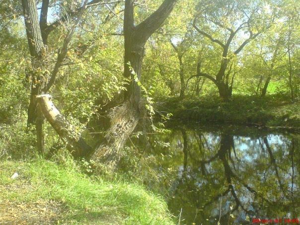 Краснодарський з panoramio.com - Краснодарський