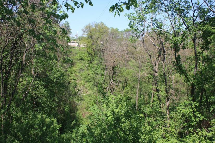 Велика Бурімка з panoramio.com - Великая Буромка