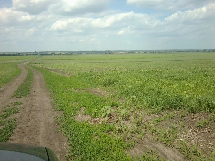 Башилівка з panoramio.com - Башиловка