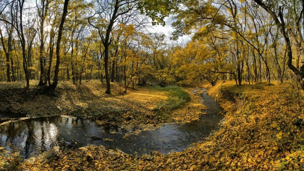 Черемшине з panoramio.com - Cheremshyne