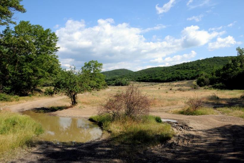 Прохладне з panoramio.com - Прохладное