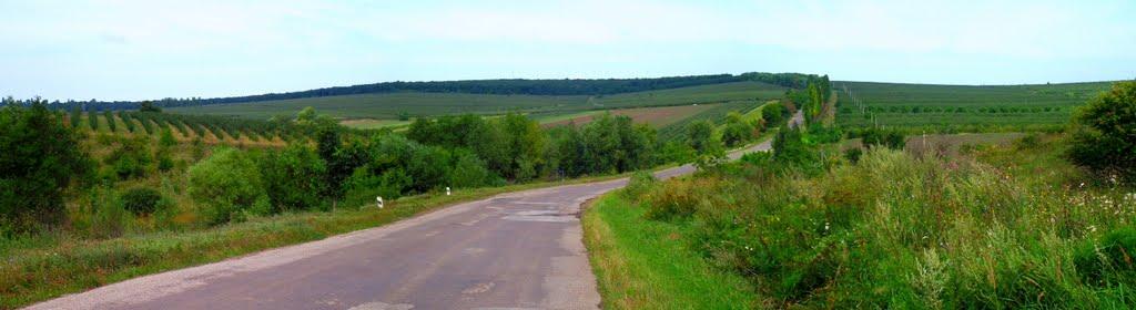 Садківці з panoramio.com - Садківці
