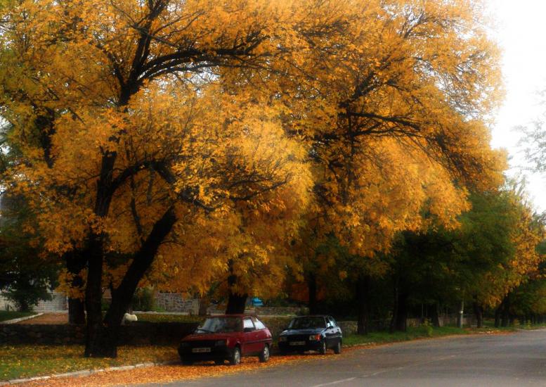 Чернігівка з panoramio.com - Чернігівка
