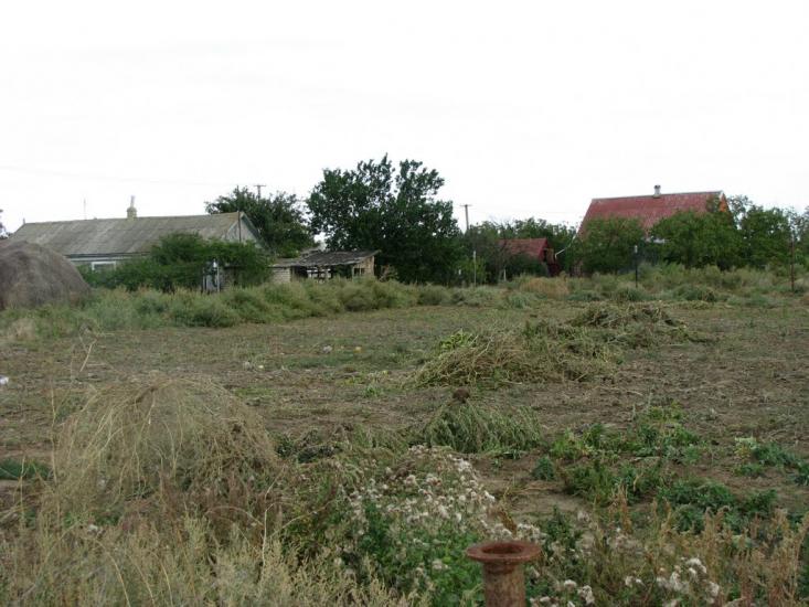 Софіївка з panoramio.com - Софиевка