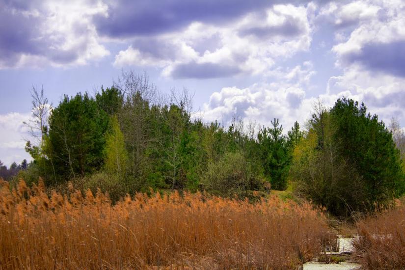 Іванів з panoramio.com - Иванов