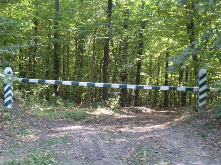 Лісна Поляна з panoramio.com - Лісна Поляна