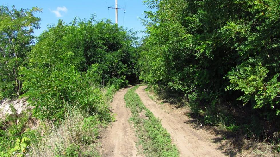 Недогарки з panoramio.com - Недогарки