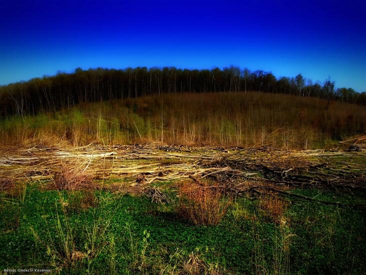 Новомильськ з panoramio.com - Новомильськ