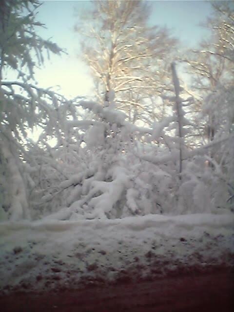 Яблунівка з panoramio.com - Яблоновка