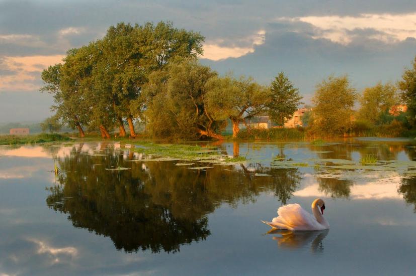 Ходорів з panoramio.com - Ходорів