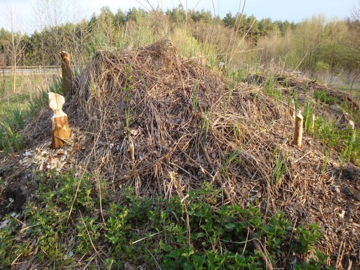 Мала Перещепина з panoramio.com - Малая Перещепина