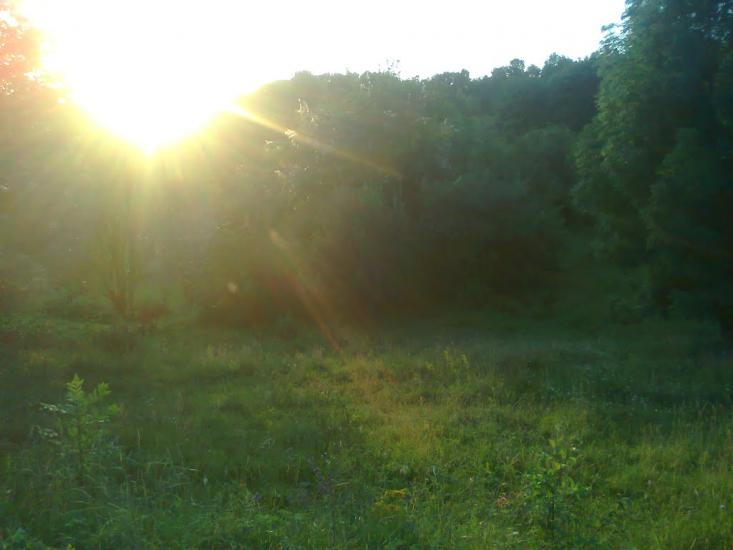 Товсті Роги з panoramio.com - Товсті Роги