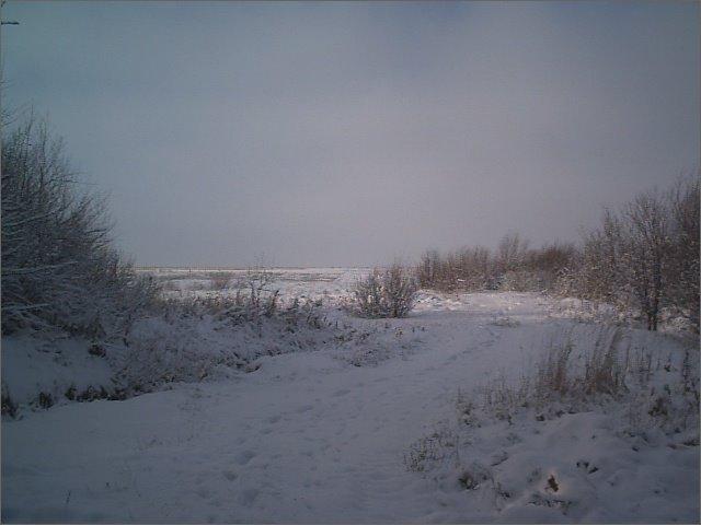 Любомль з panoramio.com - Любомль